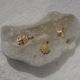 Ostra Charm