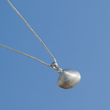 Palabrita Silver Charm