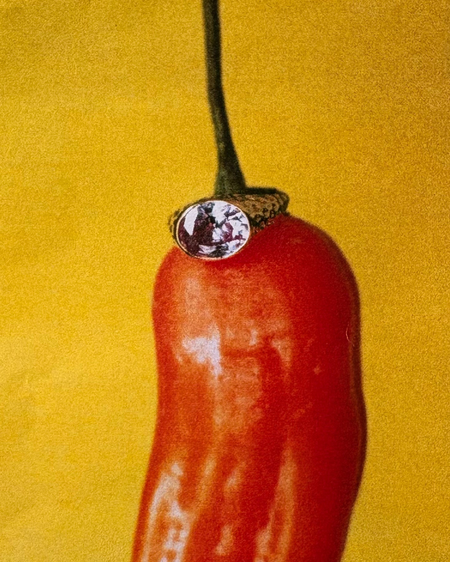 Imagen de diapositiva