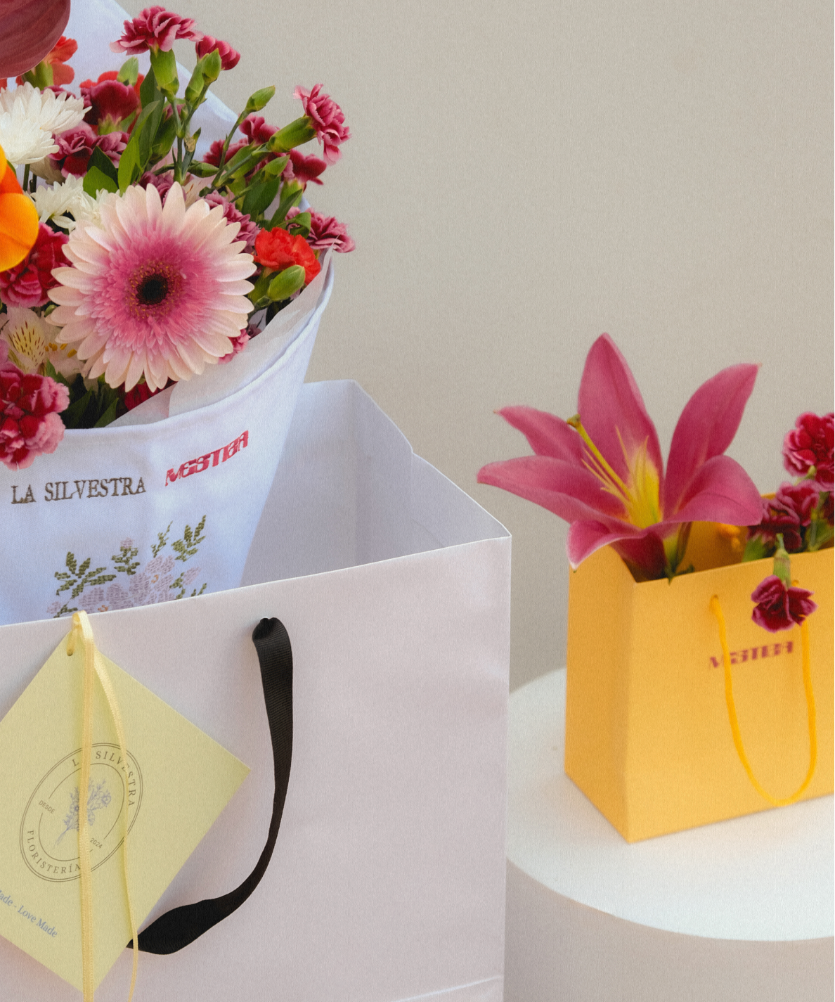 Imagen de diapositiva