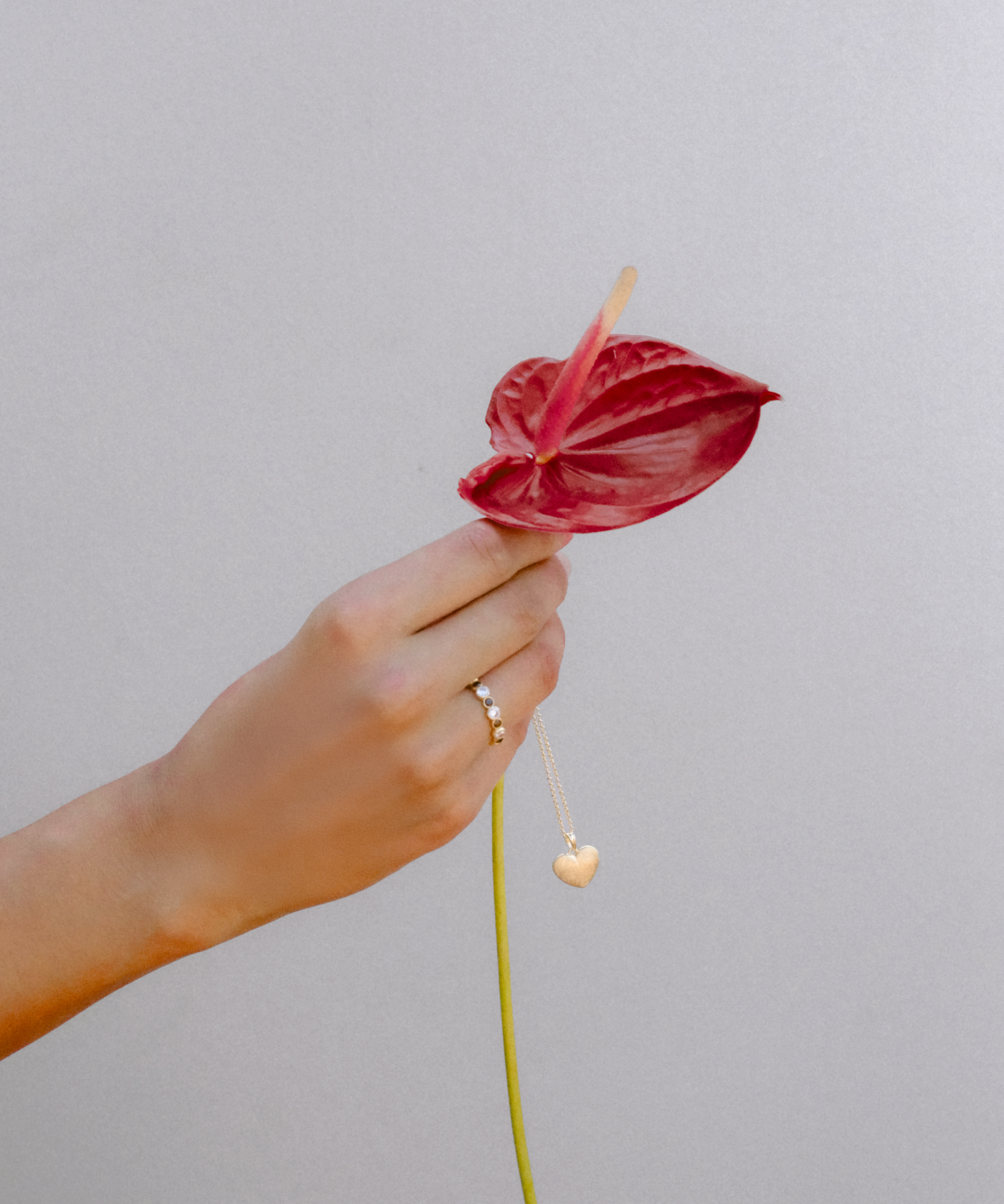 Bundle Mini Silvestra + Latido Necklace