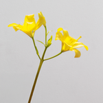 Imagen de diapositiva