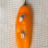 Ají Silver Earrings