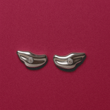 Ají Silver Earrings