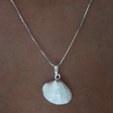 Palabrita Silver Charm