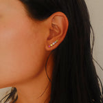Imagen de diapositiva