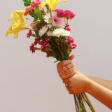 Ramo Mini La Silvestra x Mestiza