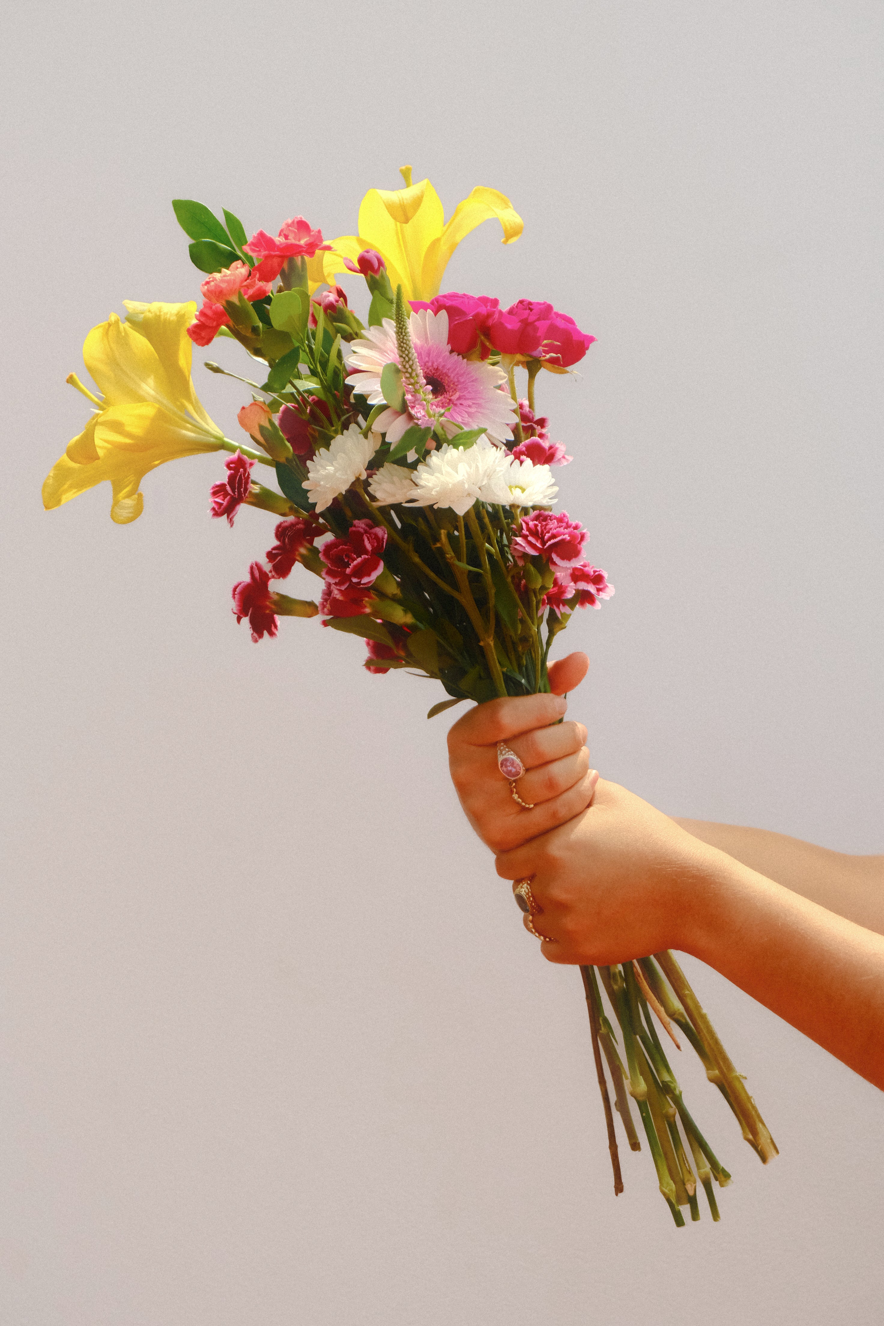 Imagen de diapositiva