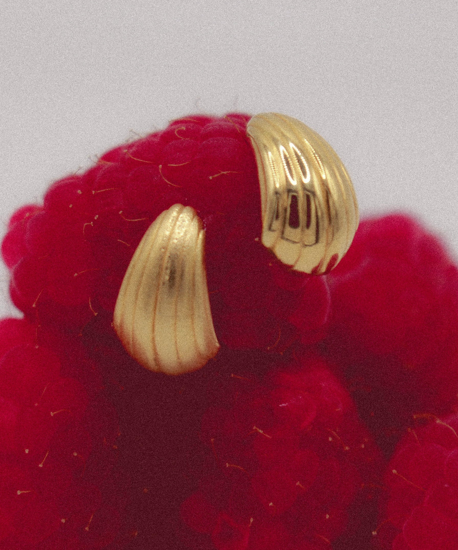 Conchita Earrings