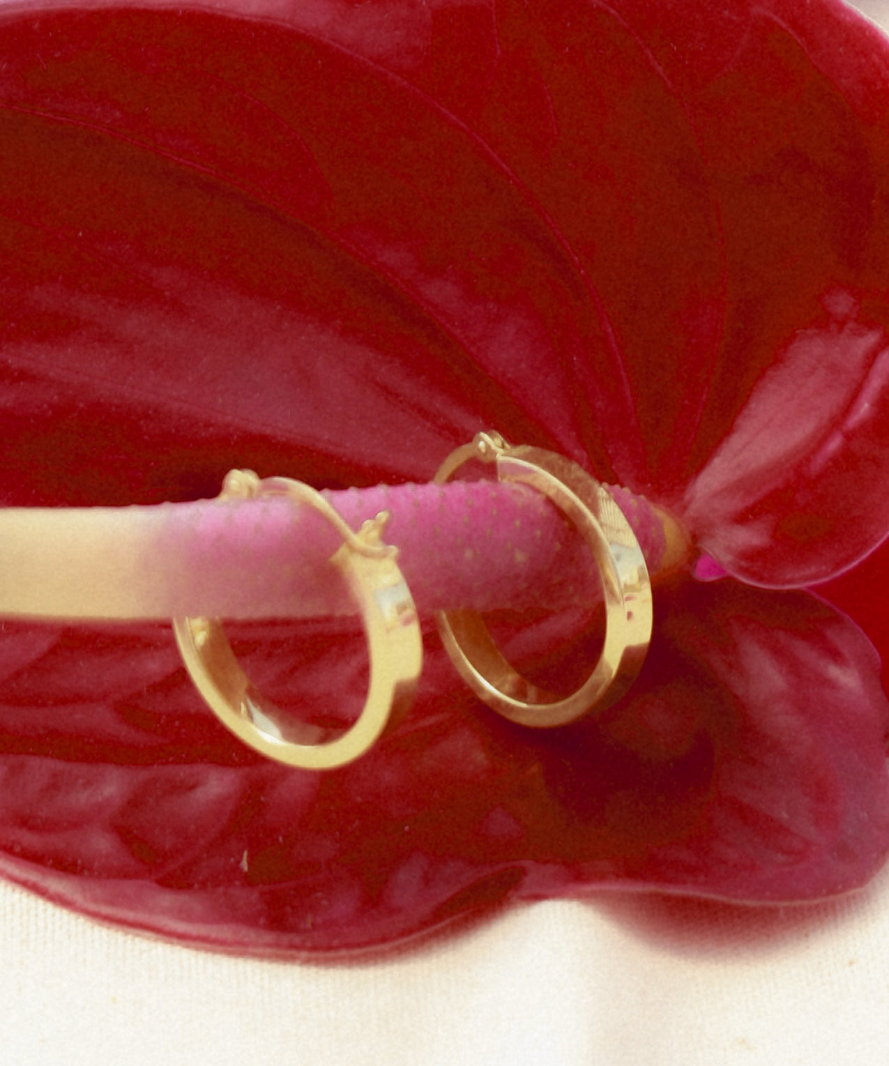 Polished Hoops