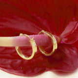 Polished Hoops