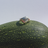 Organic Silver Ring