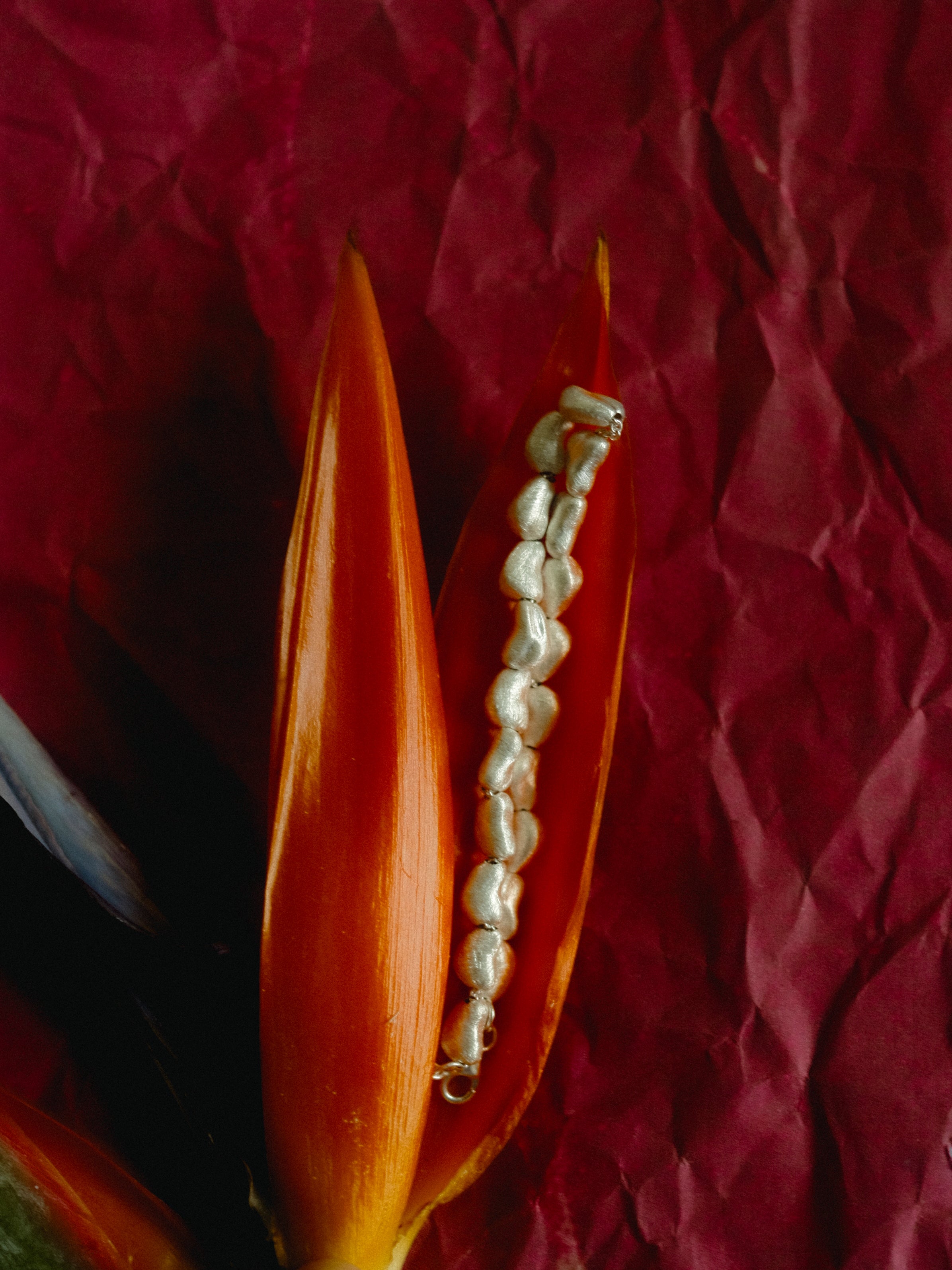 Imagen de diapositiva