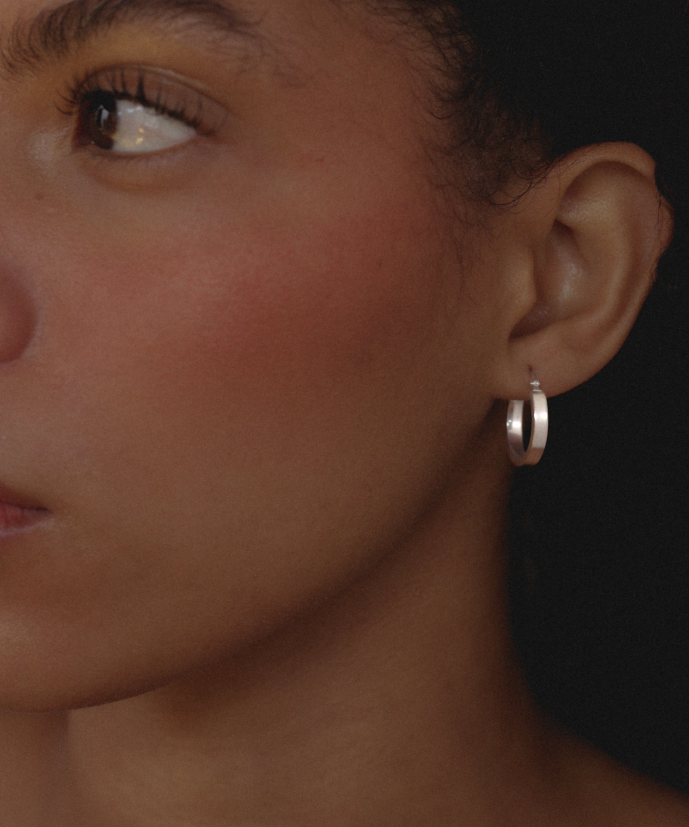 Polished Hoops