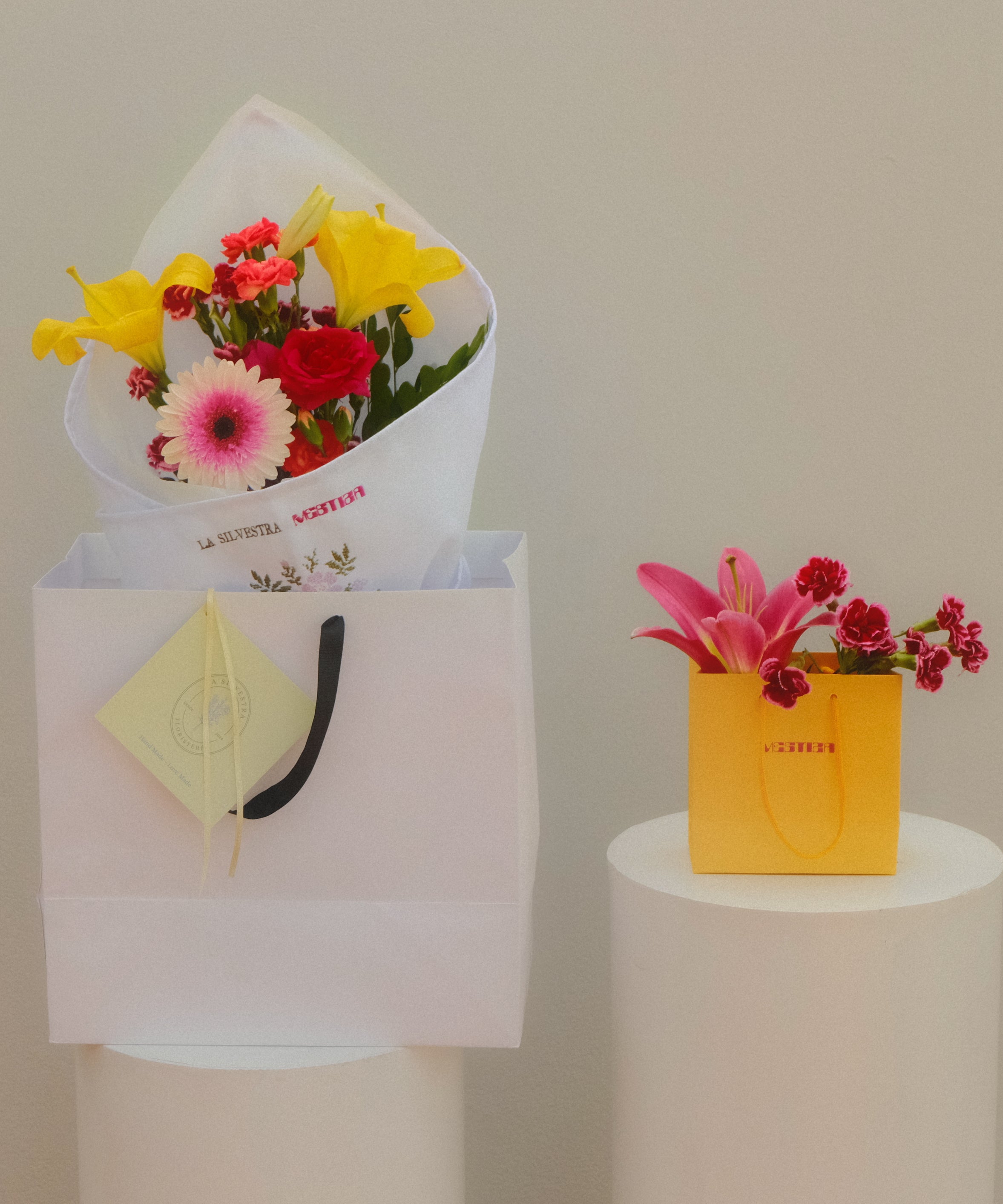 Imagen de diapositiva