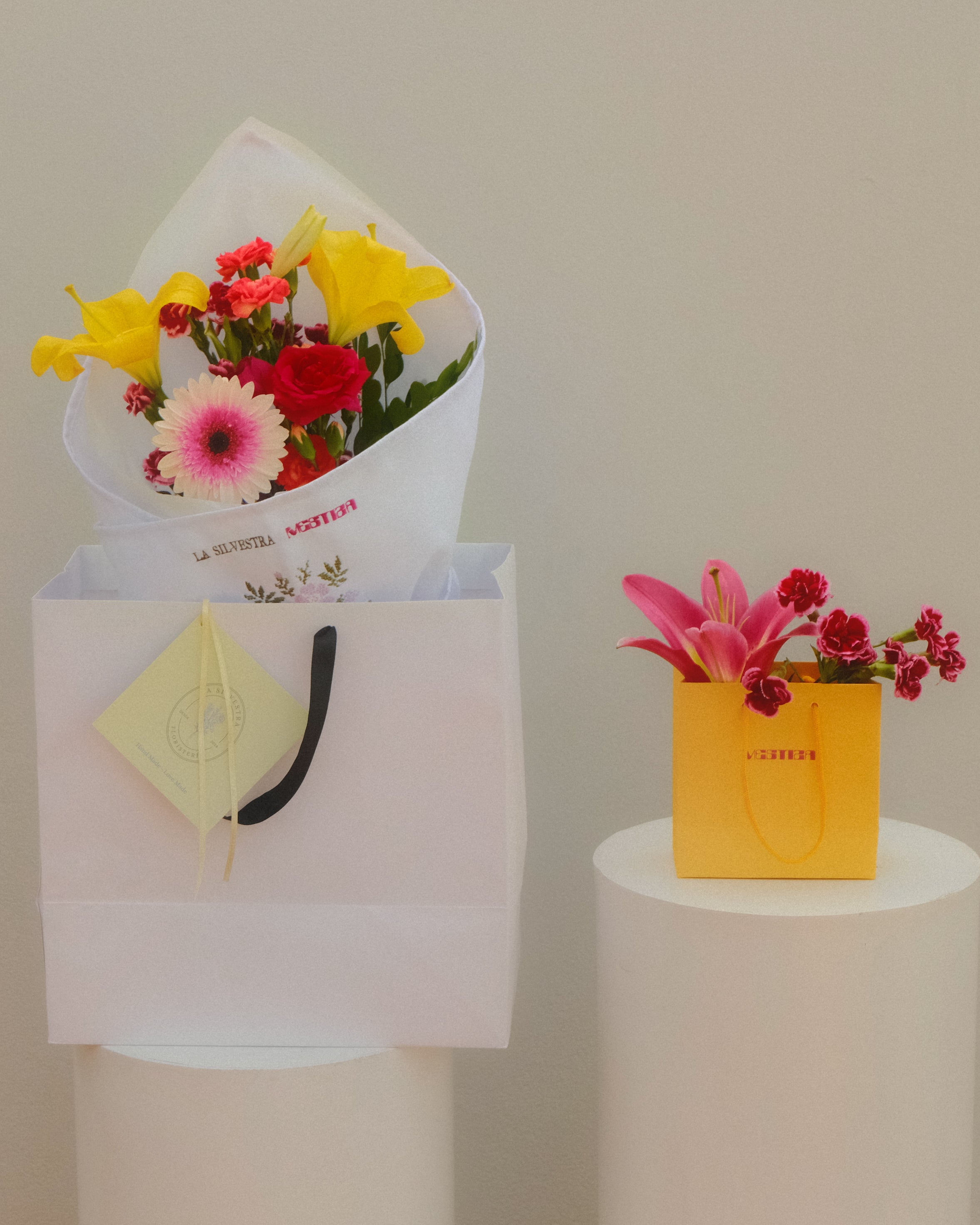 Imagen de diapositiva